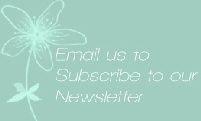 Subscribe to Newsletter